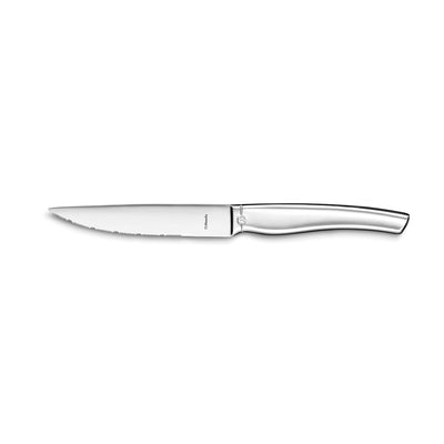 Steakmesser-Set Amefa Goliath Edelstahl (25 cm) (6 Stück)